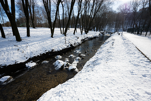 Ducks on frozen river at winter sunny day.