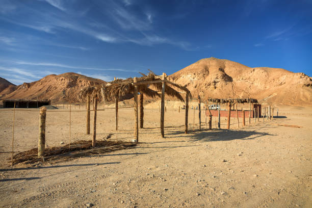 istock Desert landscape in Marsa Alam region, Egypt 1503267871
