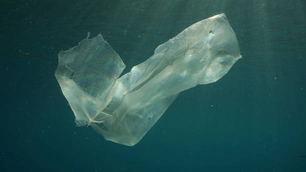 istock Old torn plastic bag drifting in water column in sunburst. Plastic bag floating underwater on the blue depth on sunbeams, environmental pollution. Plastic pollution of Ocean, Red sea, Egypt 1503274417