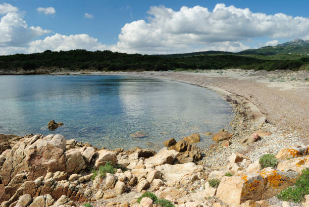 istock The beach of Razza di Junco in Sardinia 1503281862