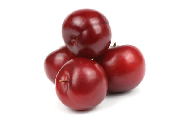 Ripe plum fruit isolated on white background.