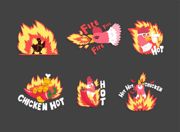 Vector illustration of Hot Spicy Chicken with Fire as Grill and Roast Sticker Vector Set