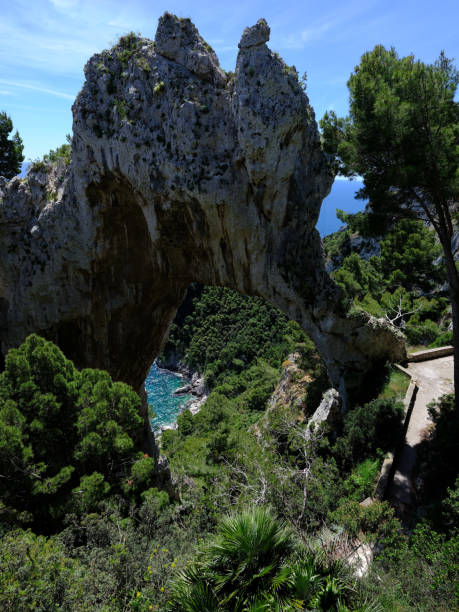 istock panorama of capri 1503285487