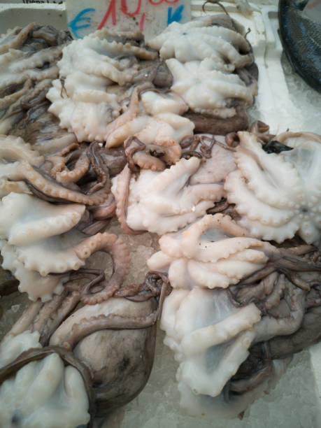 Cuttlefish in open seamarket Cuttlefish in open seamarket, Napoli lampuga stock pictures, royalty-free photos & images
