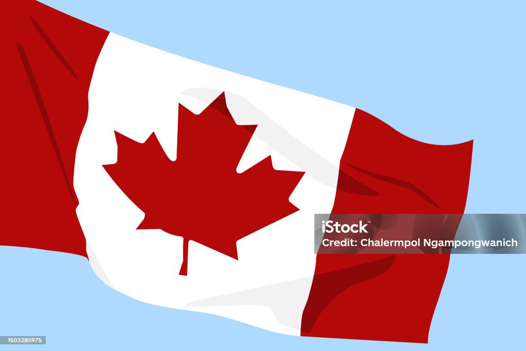 Mengibarkan Bendera Kanada Daun Maple Di Bendera Ilustrasi Bendera