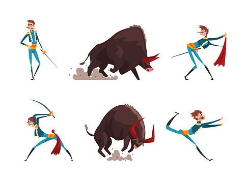 Bullfighter or Matador with Red Cloak and Furious Bull Vector Set. Moustached Man Character Engaged in Spanish-style Bullfighting or Corrida Performance Concept