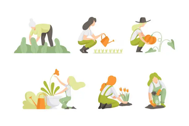 Vector illustration of Woman Working in the Garden or Farming Engaged in Horticulture Vector Set