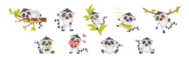 zabawny lemur cub z pasiastym ogonem zaangażowany w inny zestaw wektorów aktywności - lemur stock illustrations