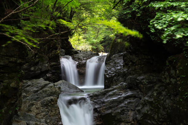 istock Kosaka Falls Tour Gifu Prefecture 1503287366