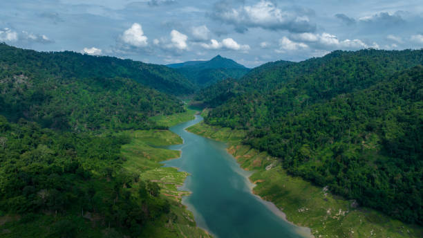 istock Aerial view tropical green forest and river with mountains in background, Green tree forest view from above river and forest. 1503287400
