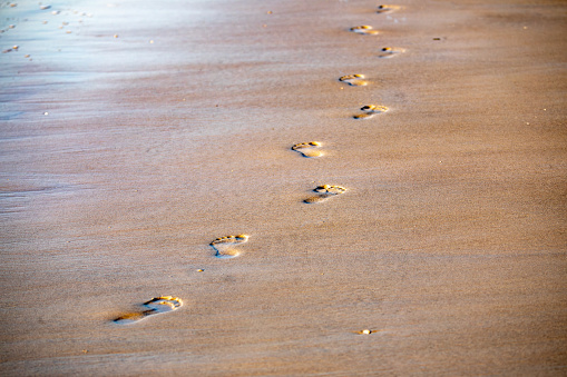 Woman on the sand goes to the sea on foot.