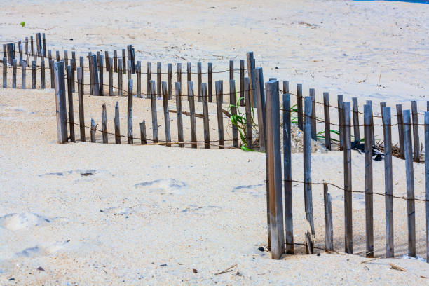 istock Sand Dune Fence on Beach 1503289107