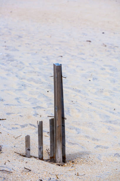 istock Sand Dune Fence on Beach 1503289126