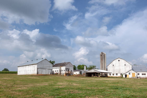 istock farm house with field and silo 1503289403