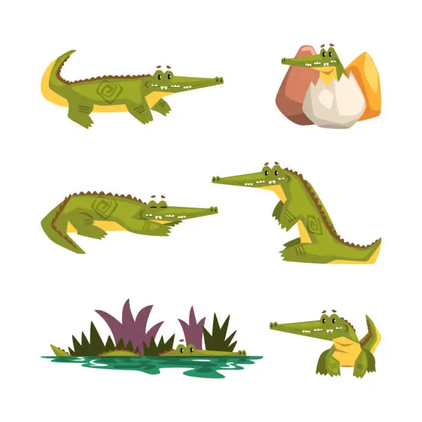 Vector illustration of Funny Green Crocodile with Toothy Smile Engaged in Different Activity Vector Set