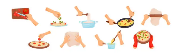 Vector illustration of Hands Preparing Food Process of Cooking Vector Set