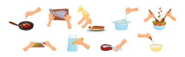 Vector illustration of Hands Preparing Food Process of Cooking Vector Set