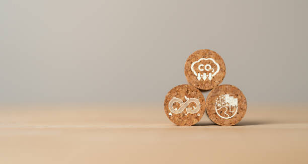 Carbon emission concept. Sustainable business development. Net zero emissions. Renewable energy, sustainable technology, ecology solutions. Round wood blocks with CO2 emission reduction icon.