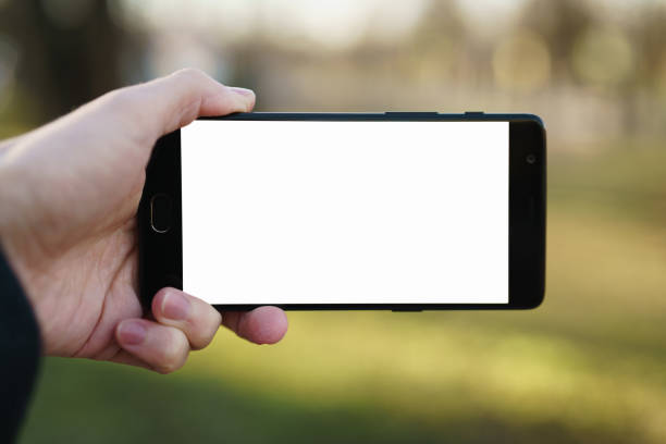 man hand holding smartphone with white screen outdoors with spring blurred background