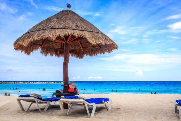 istock Closeup of Peaceful Paradise on a sunny, warm day 1503293012