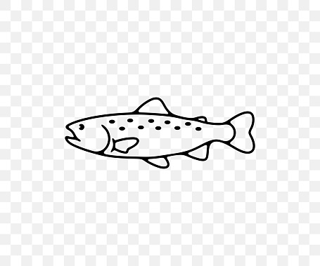 Rainbow trout, trout, fish, animal, fishing and nature, linear graphic design. Food, meal, seafood, fishery, cutthroat and aquaculture, vector design and illustration