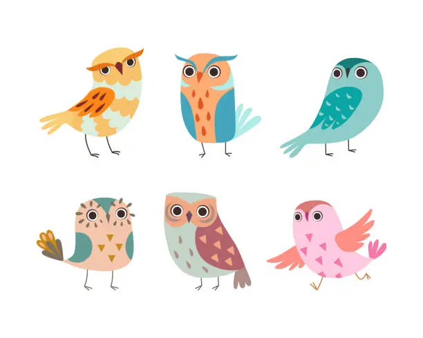 Vector illustration of Cute Little Owl with Colorful Plumage as Woodland Nocturnal Bird Vector Set