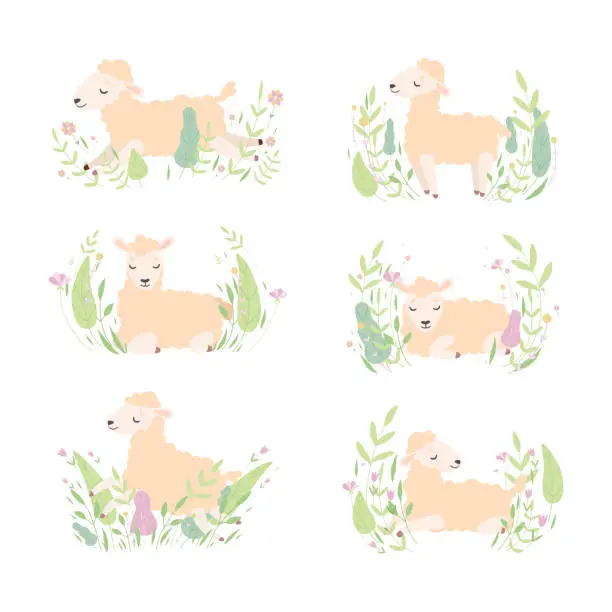 Vector illustration of Cute Sheep Resting and Relaxing in Meadow Flowers Vector Set