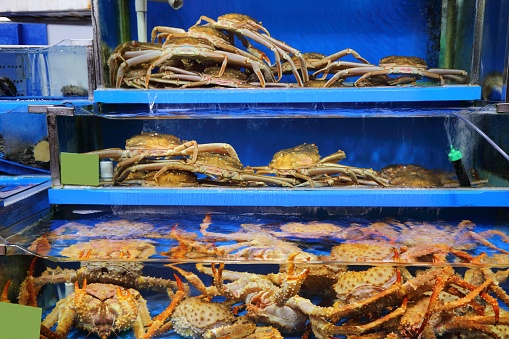 Fish market in Seoul, South Korea. Snow crab and king crab at Noryangjin Fish Market.