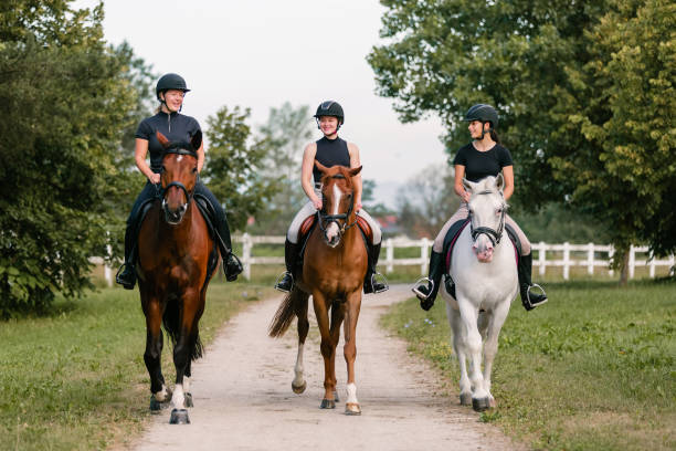 istock Three female riders riding horses along the trail 1503297183