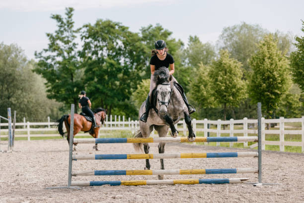 istock Girl on a dapple gray horse practicing jumping over a fence 1503297342