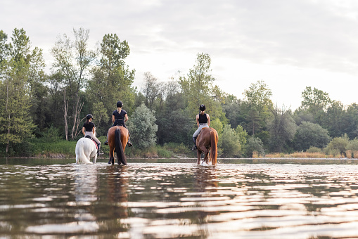 Three rider girls crossing the calm river water riding their beautiful horses on the cloudy summer day. Concept of equestrian leisure activity.