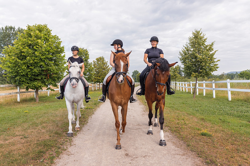 Three female riders riding horses along the trail. Recreation and leisure activity concepts.
