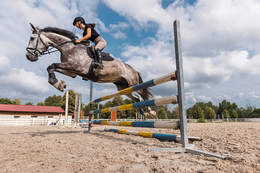 Girl rider on a dapple gray horse jumping over a hurdle at the manege of equestrian center on a sunny day