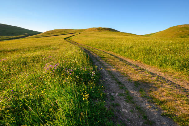 istock Farm Track through Barrowburn Hay Meadows 1503298507