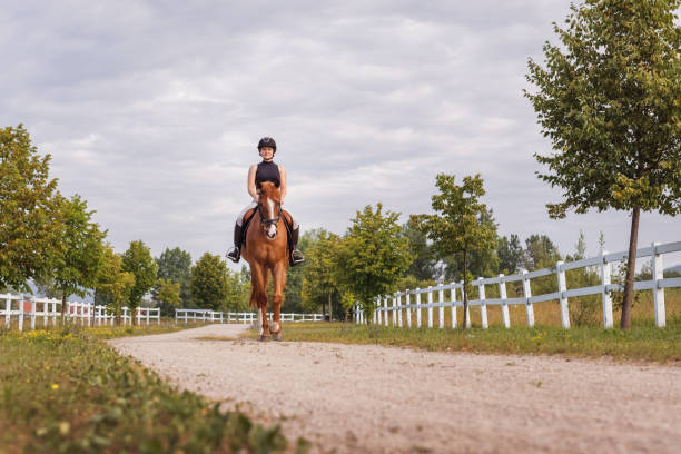 istock Horseback riding along the trail between wood fences and fields 1503298537