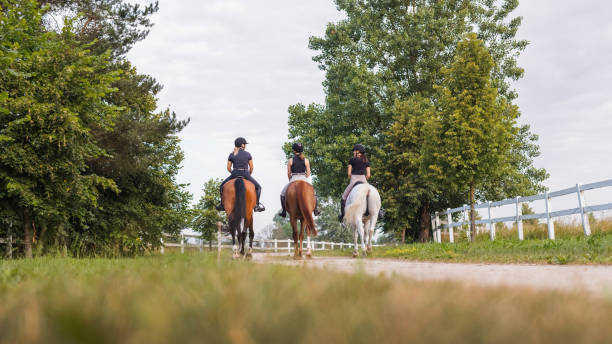 istock Three female riders riding horses along the trail 1503298611