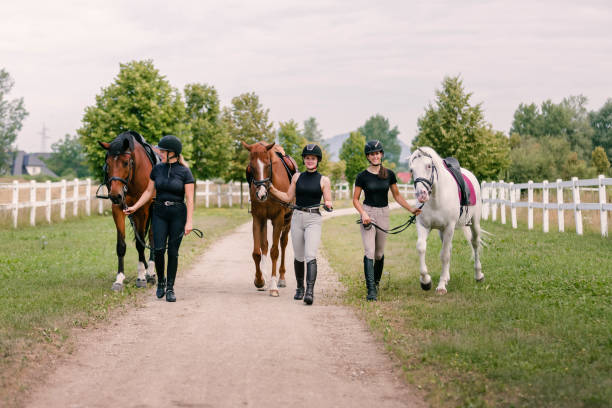 istock Three horses with female jockeys walking side by side 1503298728