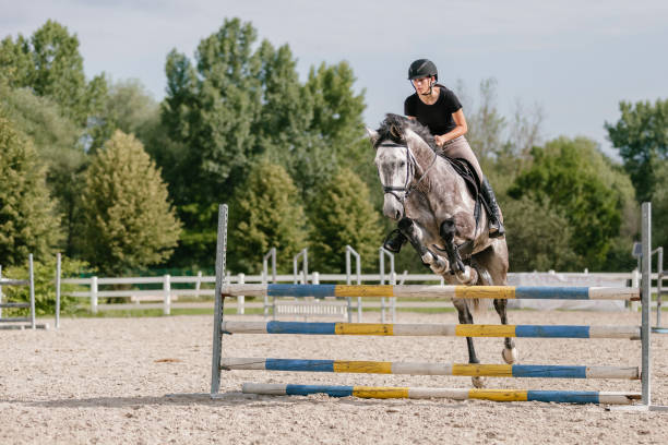 istock Girl on a dapple gray horse practicing jumping over a fence 1503298953