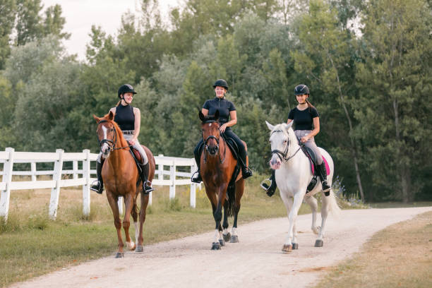 istock Three female riders riding horses along the trail 1503299068