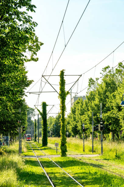 Streetcar on a track with grass and trees - concept of climate-neutral, green public transport