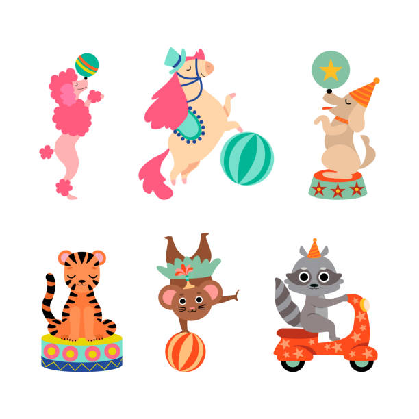 ilustrações de stock, clip art, desenhos animados e ícones de circus animal performing trick with ball and riding scooter vector set - dog set humor happiness