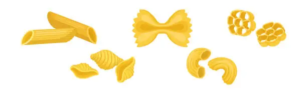 Vector illustration of Macaroni as Dry Shaped Pasta Made with Durum Wheat Vector Set