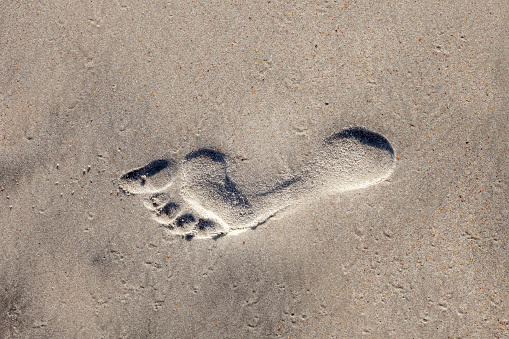 footprints at the beach in fine sand