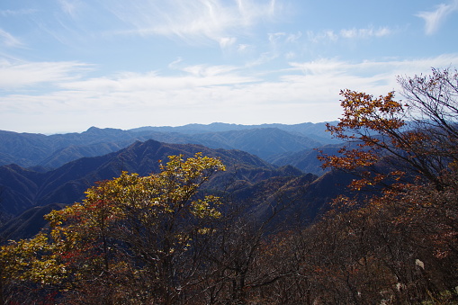 Autumn leaves at Mt.Nakakura ,Tochigi Prefecture,Japan