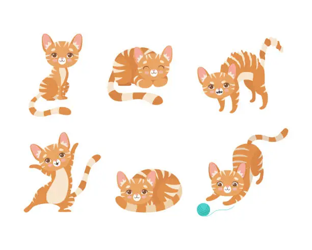 Vector illustration of Cute Ginger Striped Kitten as Furry Domestic Pet Vector Set