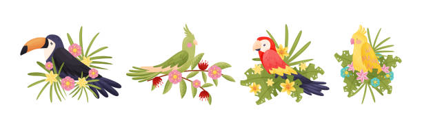 ilustrações, clipart, desenhos animados e ícones de pássaro empoleirado sentado no galho floral ou galho com flores em flor vector set - parrot multi colored bird perching