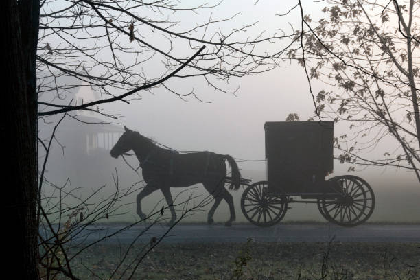 istock Amish Buggy in the Fog 1503324635