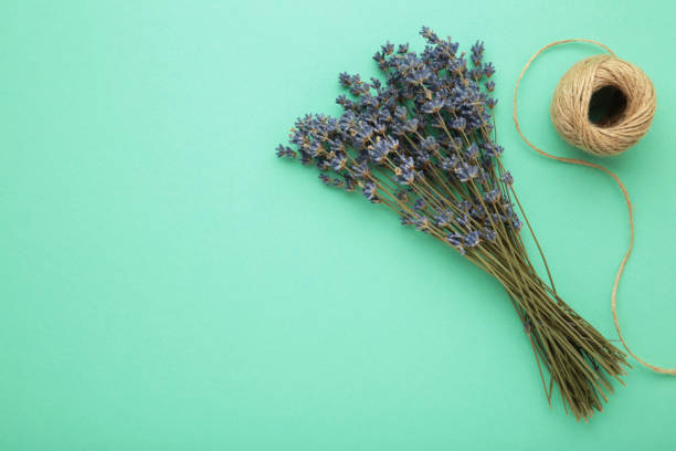 istock Small bouquet of a dried lavender on mint background. 1503325108
