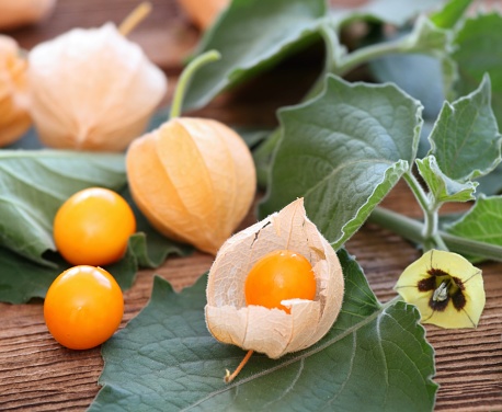 Also known cape gooseberry, ground cherries or winter cherry.