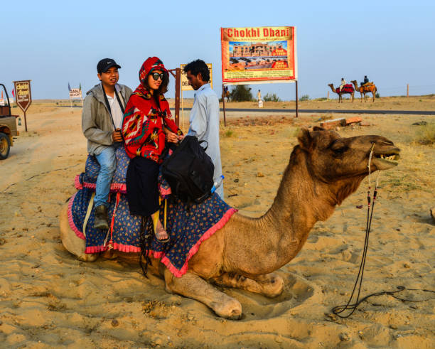 インドのジャイサルメールのタール砂漠でラクダに乗る - two humped camel ストックフォトと画像